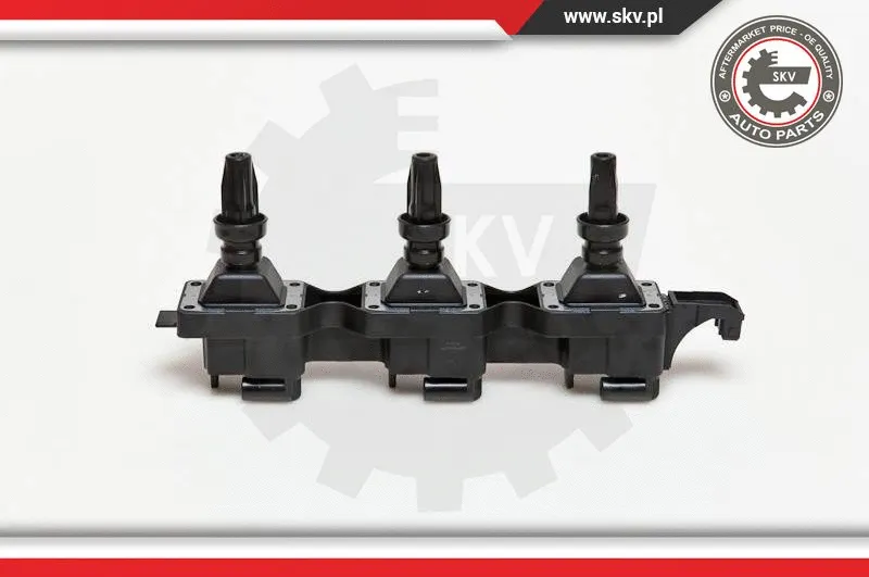 Ignition Coil (03SKV114)
