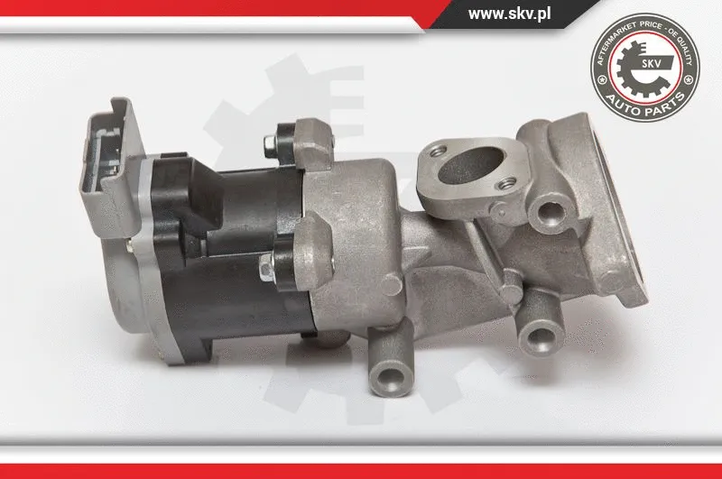 EGR Valve (14SKV073)