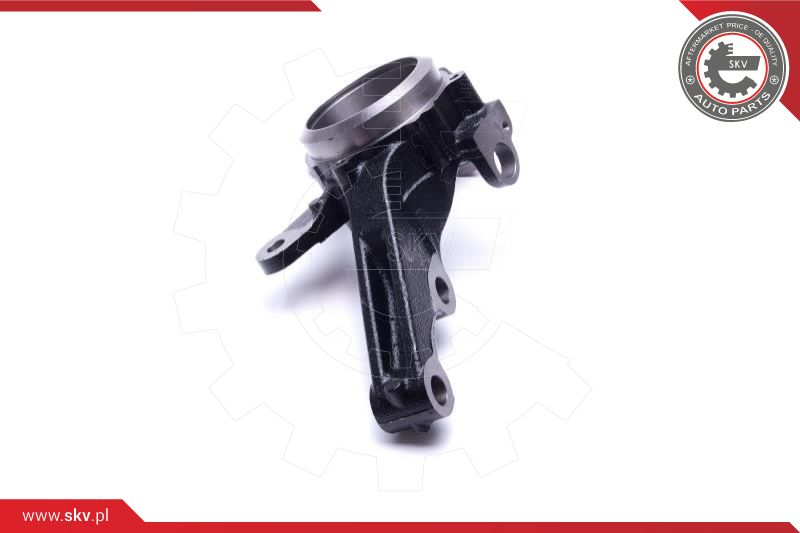 Steering Knuckle, wheel suspension