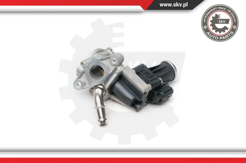 EGR Valve