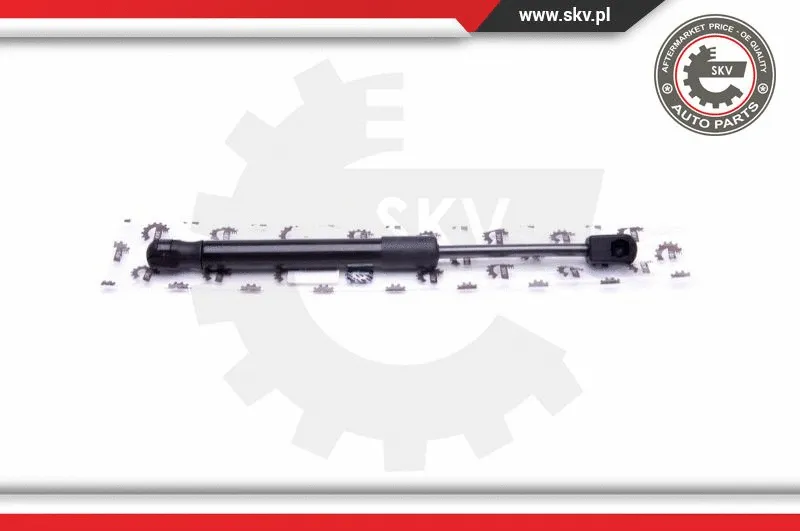Gas Spring, boot/cargo area