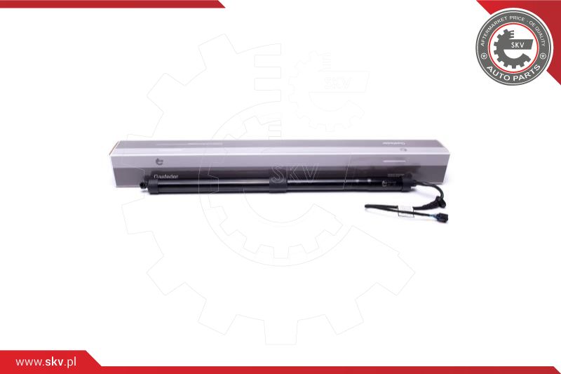 Electric Motor, tailgate (52SKV900)