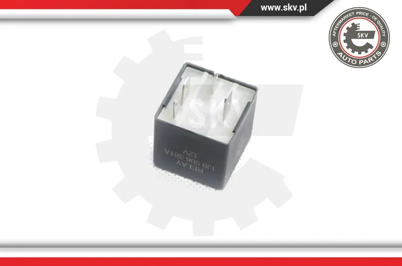 Relay, fuel pump (96SKV005)