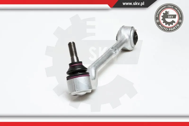 Control/Trailing Arm, wheel suspension (04SKV002)