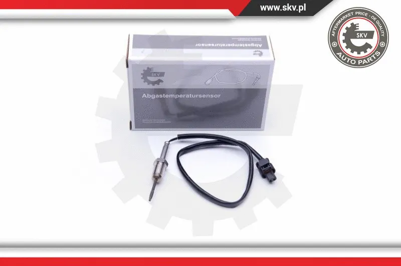 Sensor, exhaust gas temperature (30SKV104)