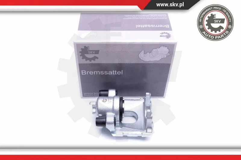 Brake Caliper (42SKV993)