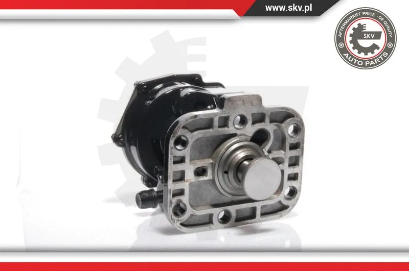 Vacuum Pump, braking system (18SKV011)