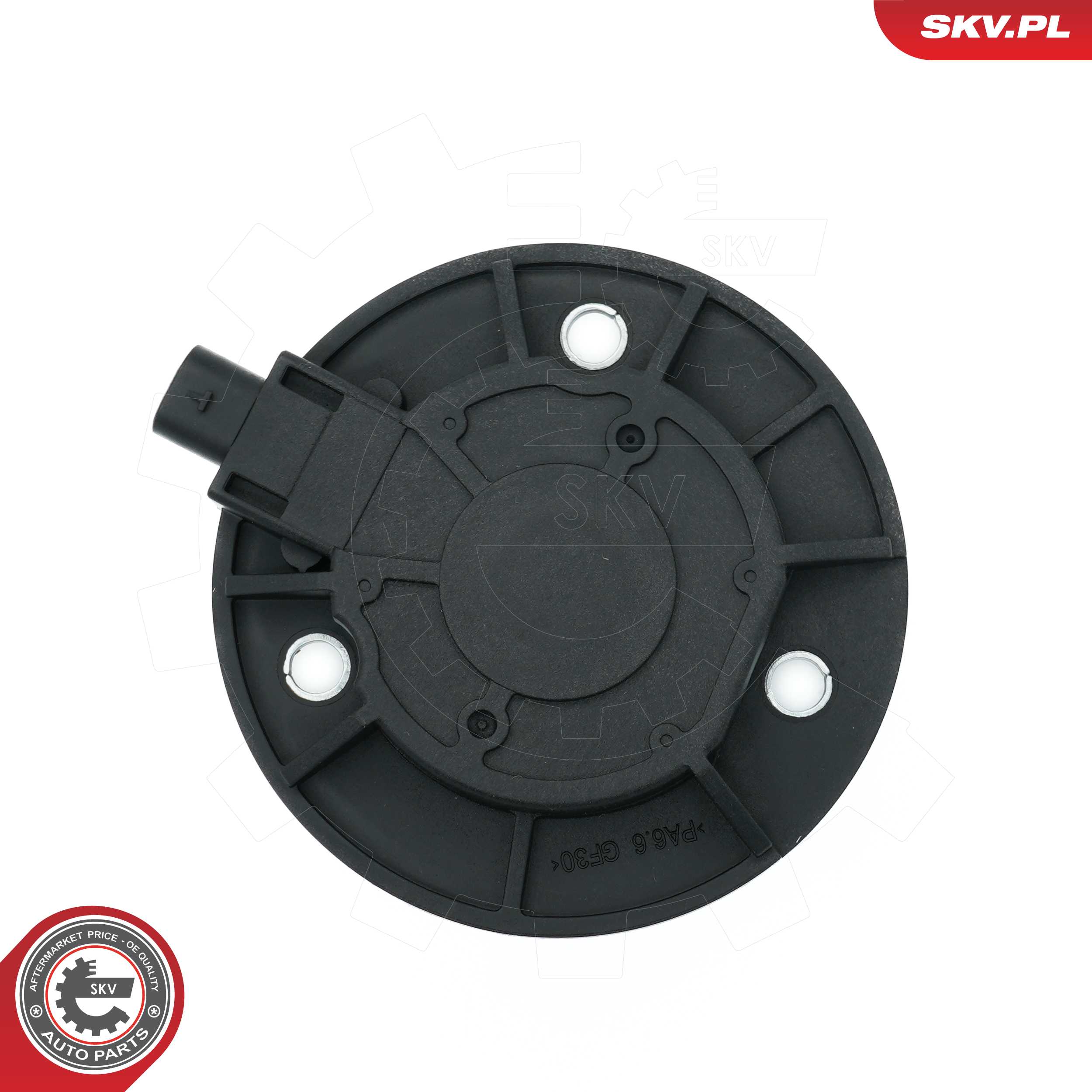 Central Magnet, camshaft adjustment