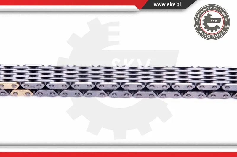 Timing Chain Kit