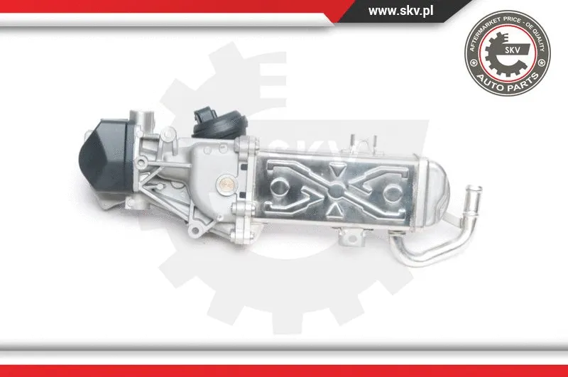 EGR Valve