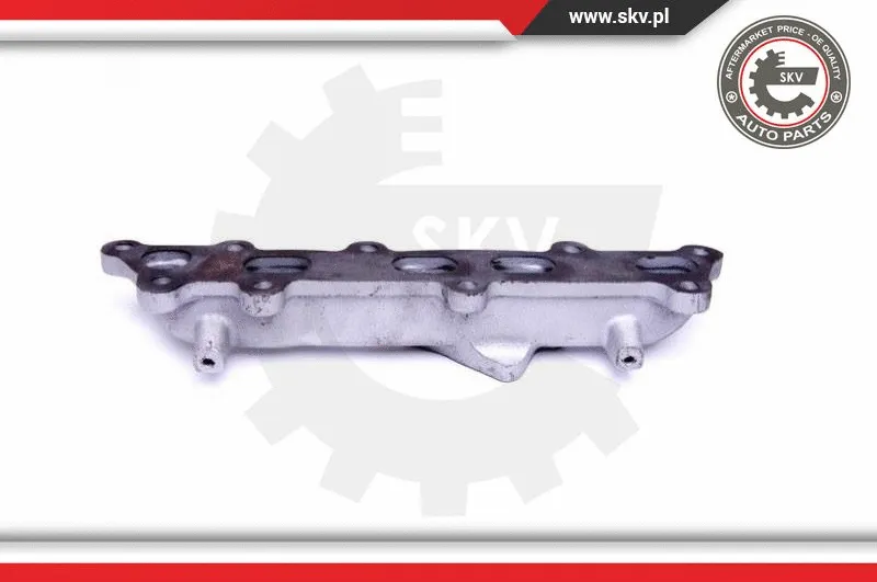 Manifold, exhaust system
