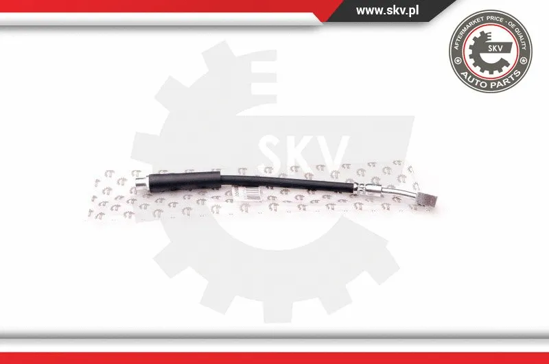 Brake Hose (35SKV101)