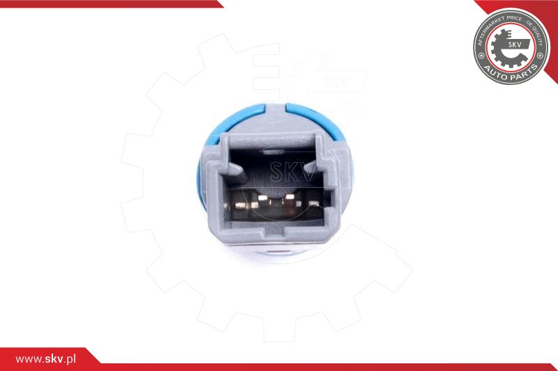 Stop Light Switch