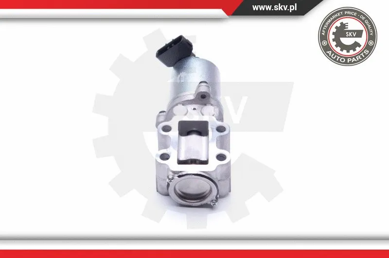 EGR Valve