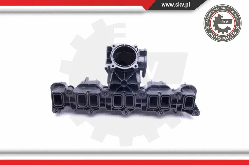 Intake Manifold Module