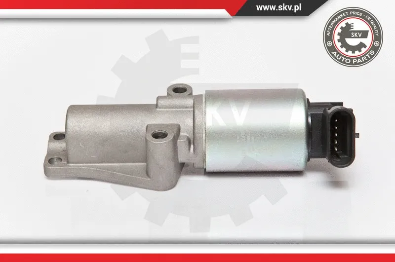 EGR Valve