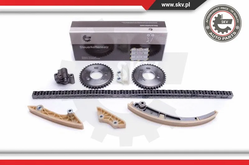 Timing Chain Kit (21SKV245)