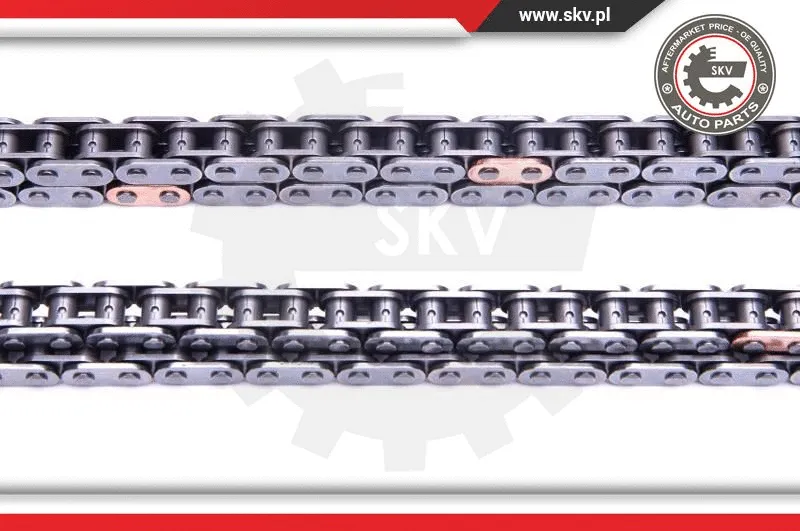 Timing Chain Kit