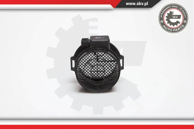 Mass Air Flow Sensor (07SKV123)