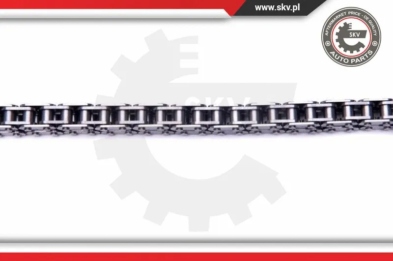 Timing Chain Kit
