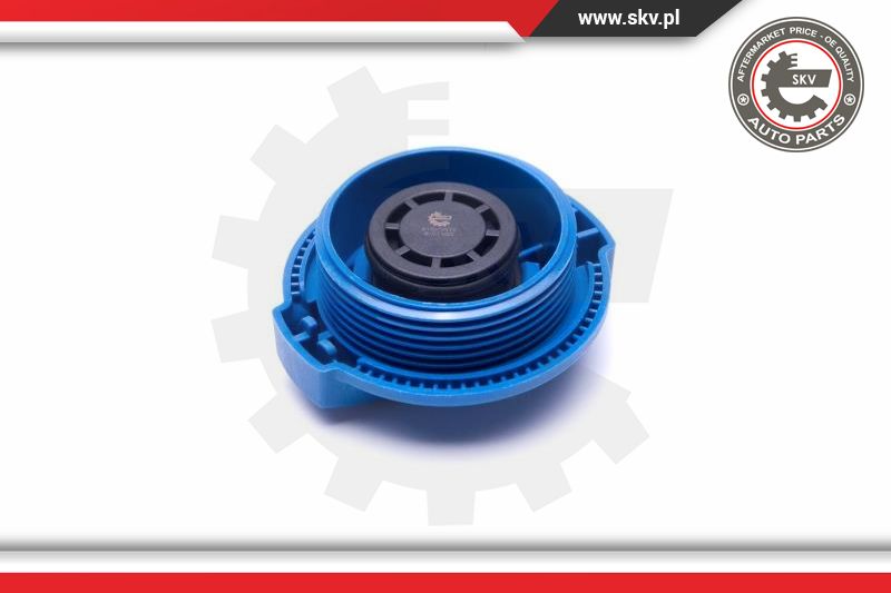Cap, coolant tank