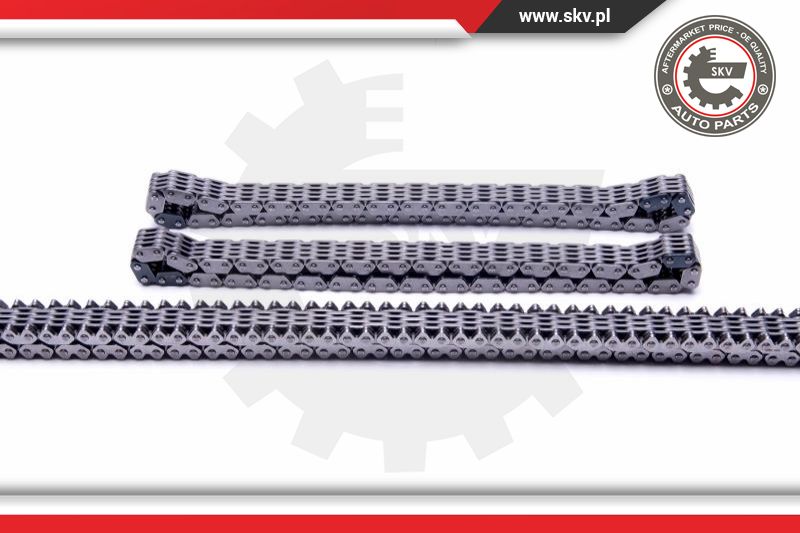 Timing Chain Kit