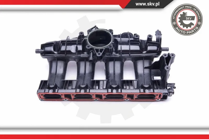 Intake Manifold Module