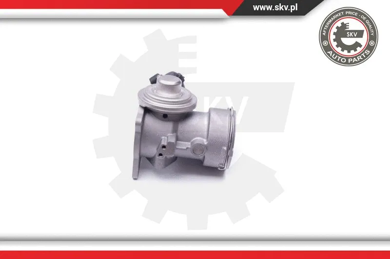 EGR Valve