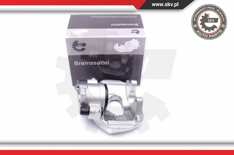 Brake Caliper (42SKV271)
