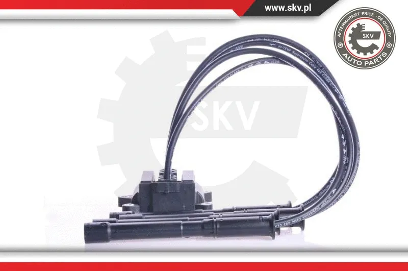 Ignition Coil (03SKV087)