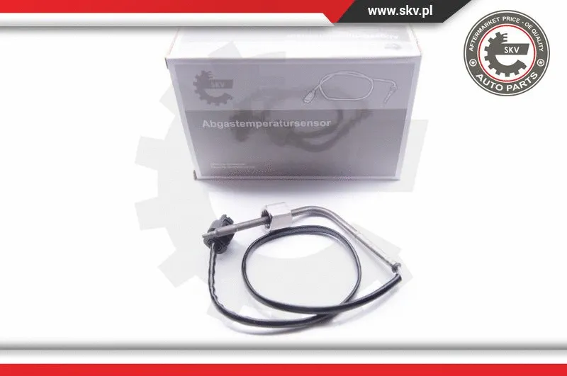 Sensor, exhaust gas temperature (30SKV072)
