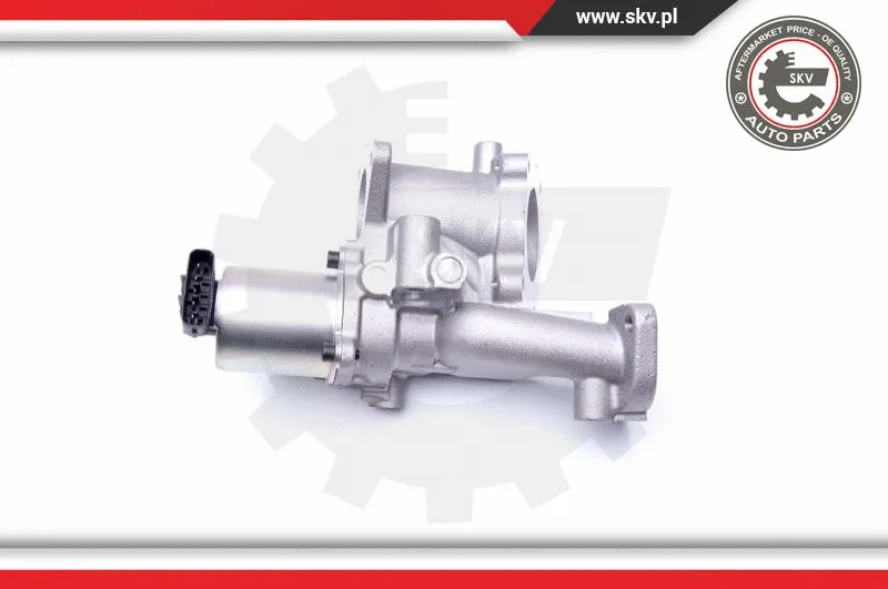 EGR Valve (14SKV167)