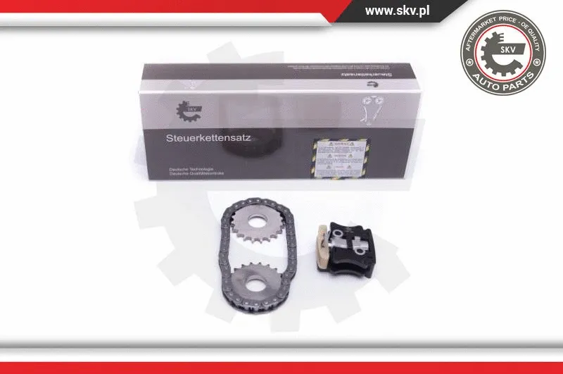 Timing Chain Kit (21SKV145)