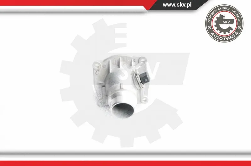 Thermostat, coolant