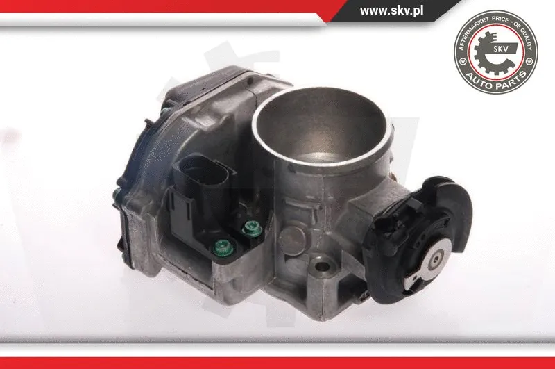 Throttle Body