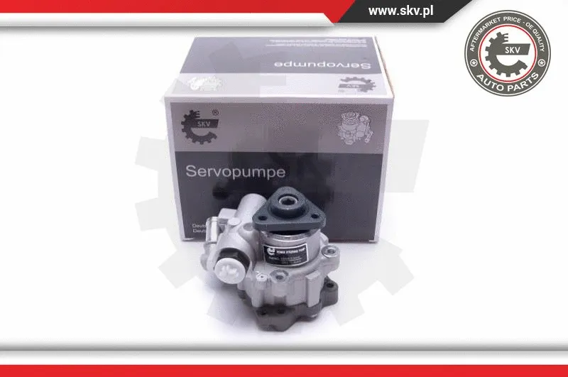 Hydraulic Pump, steering (10SKV305)
