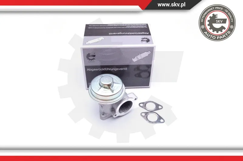 EGR Valve (14SKV092)