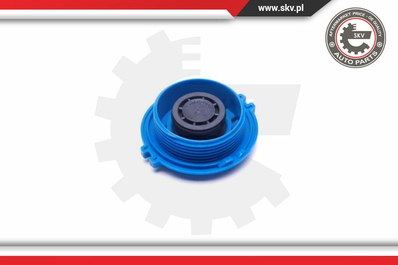 Cap, coolant tank