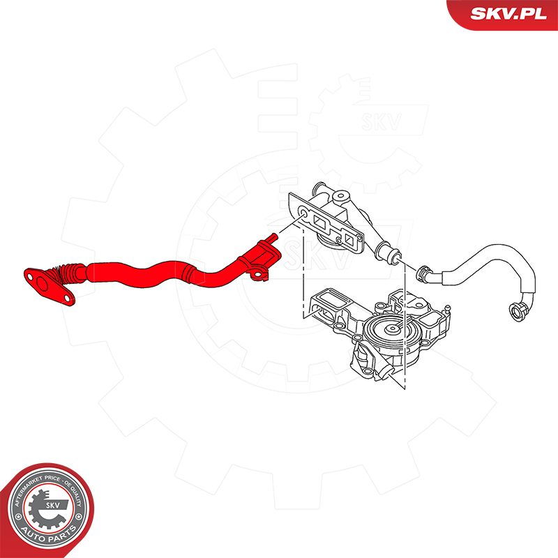 Hose, crankcase ventilation