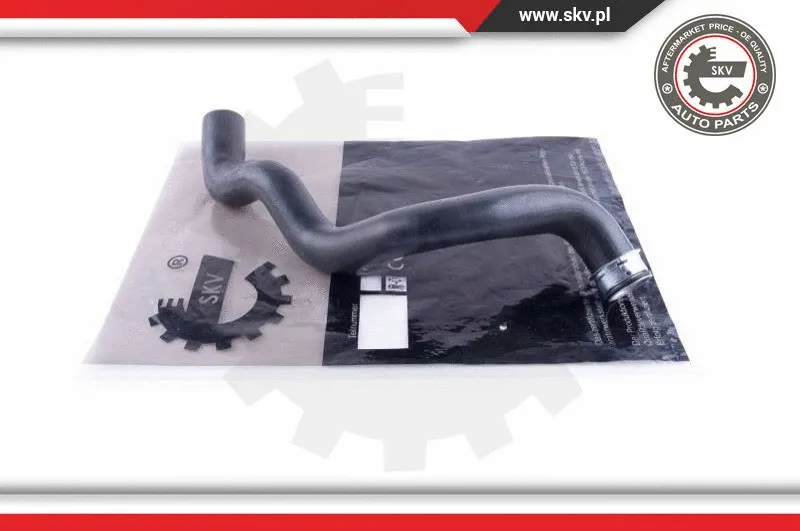 Radiator Hose (43SKV893)