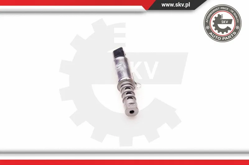 Control Valve, camshaft adjustment (39SKV010)
