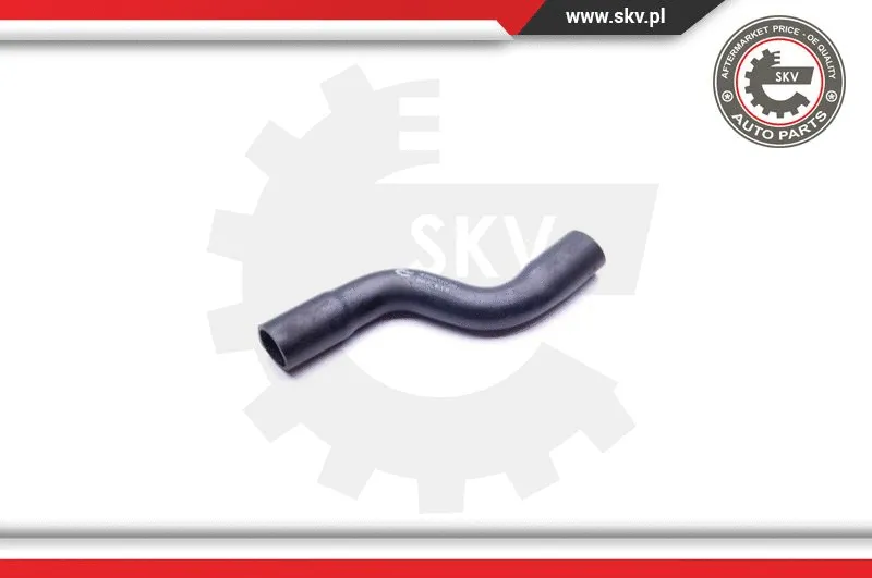 Radiator Hose (43SKV720)