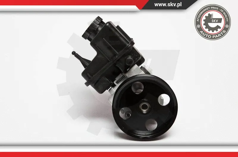Hydraulic Pump, steering (10SKV107)