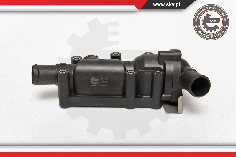 Thermostat, coolant