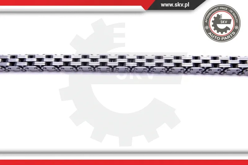 Timing Chain Kit