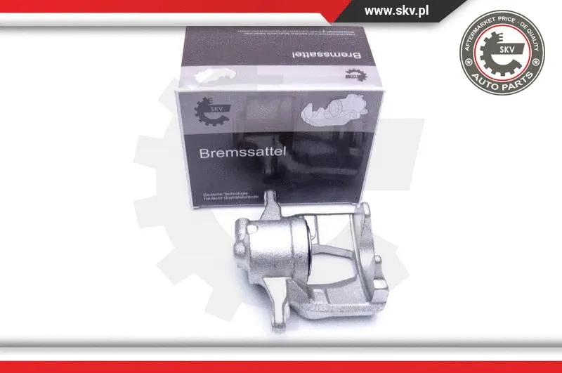 Brake Caliper (44SKV822)