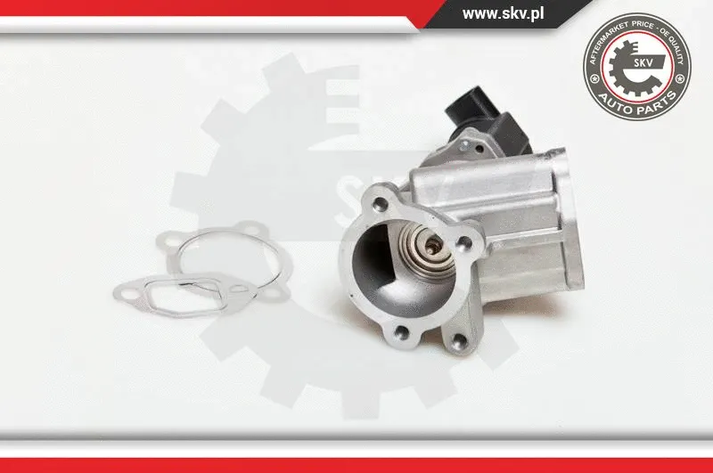 EGR Valve