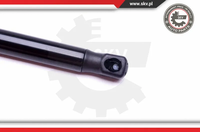 Gas Spring, boot/cargo area