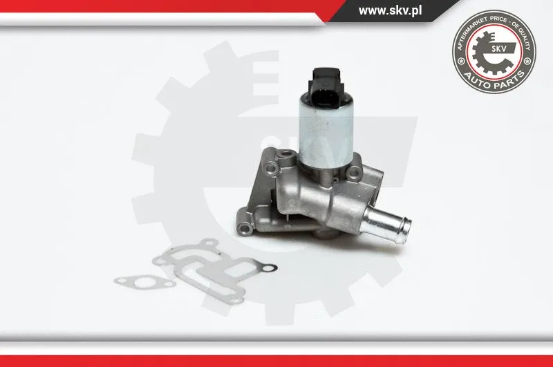 EGR Valve