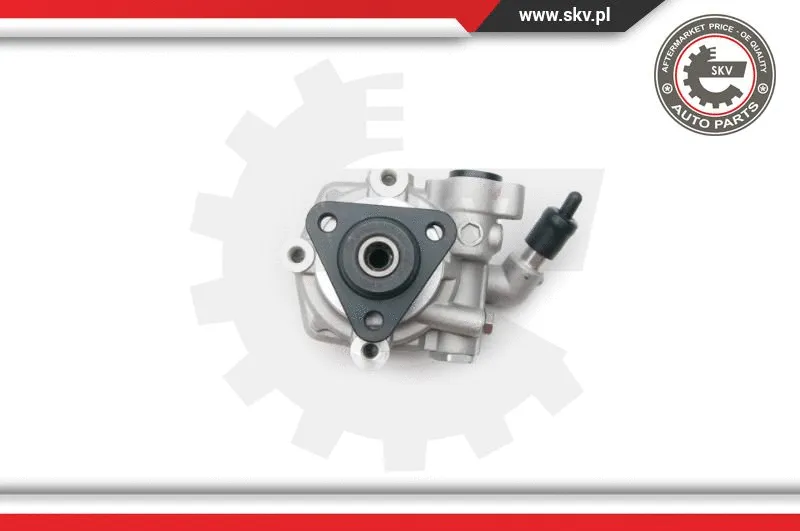 Hydraulic Pump, steering (10SKV193)